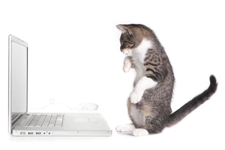 Facebook Like Fraud Part Three-ish: The Virtual Cat Facebook Page