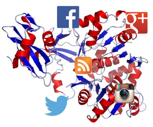 cross-posting-social-networks